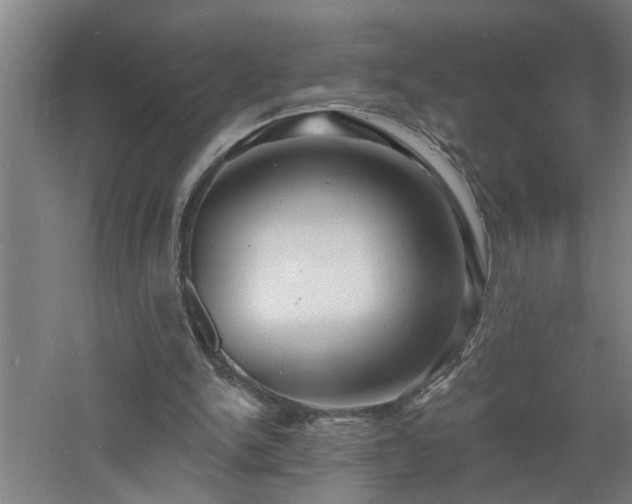 X0000060810150200511101502