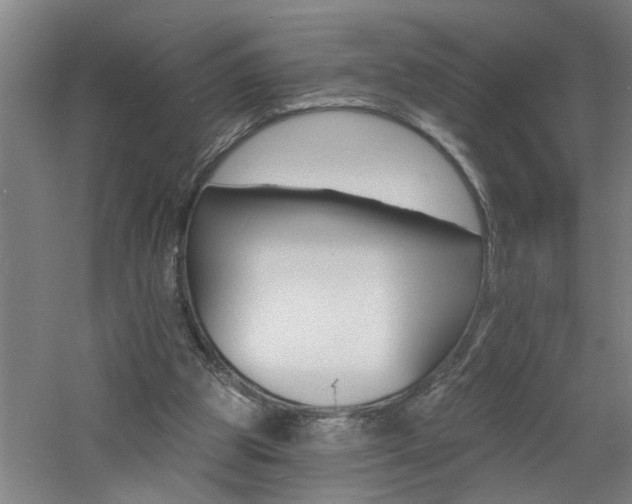 X0000060810153200511101502