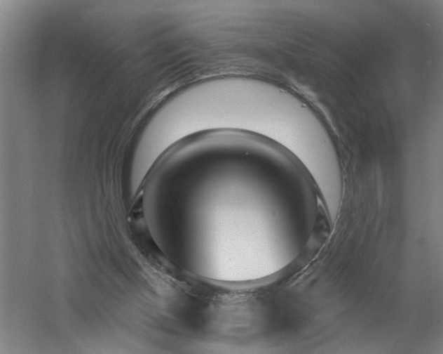 X0000060810154200511101502