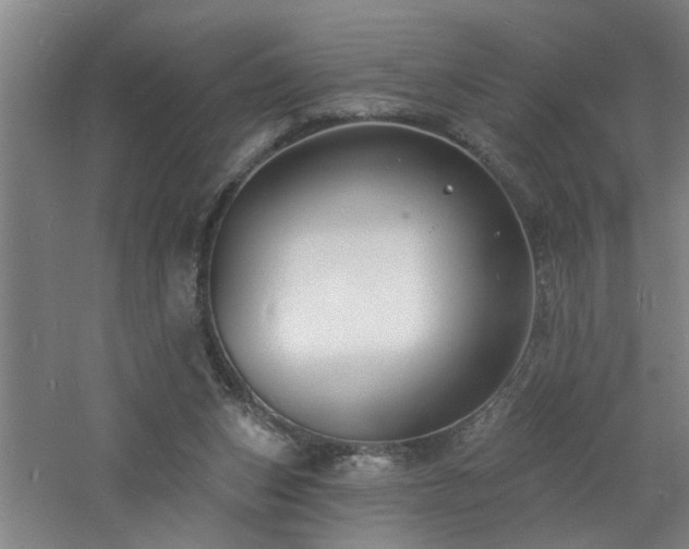 X0000060810159200511101502