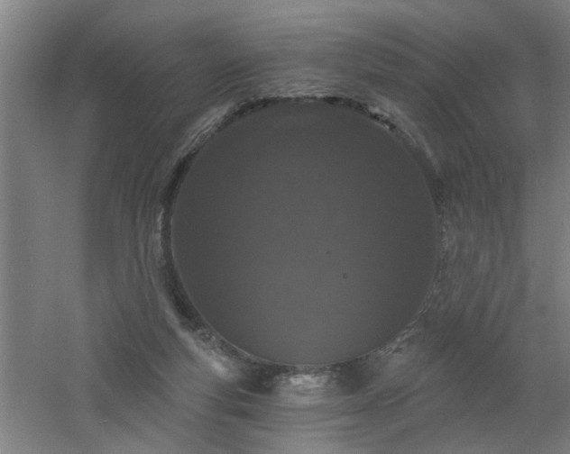 X0000060810163200511101502