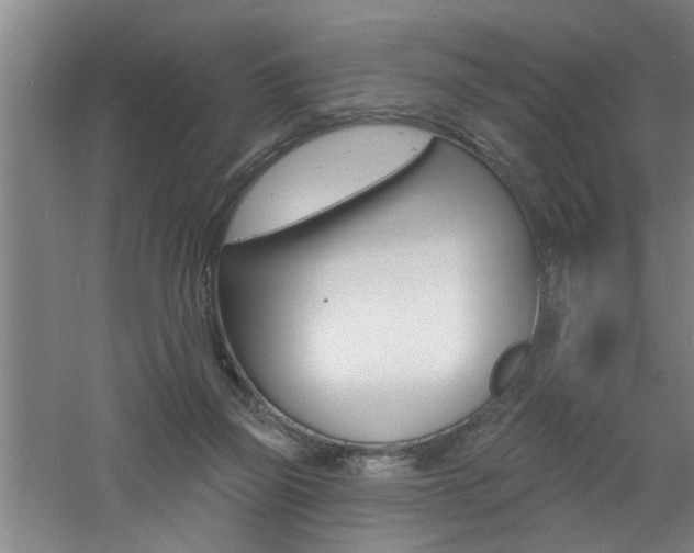 X0000060810165200511101502