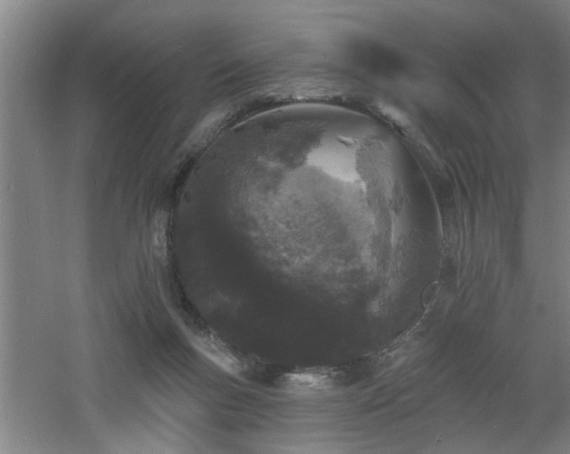 X0000060810167200511101502