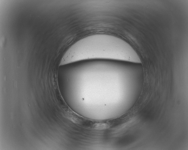 X0000060810169200511101502