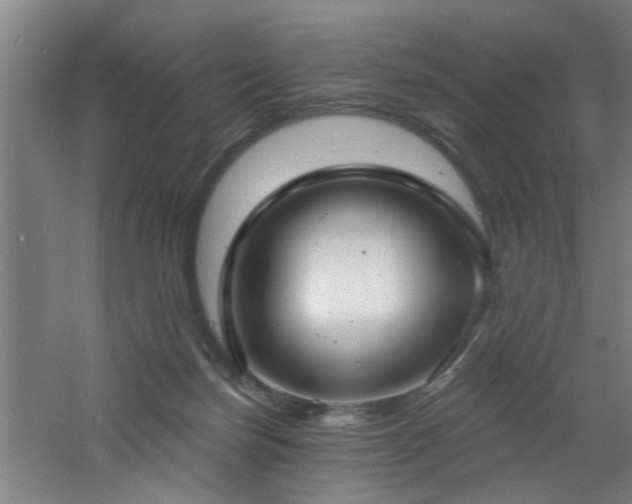 X0000060810171200511101502