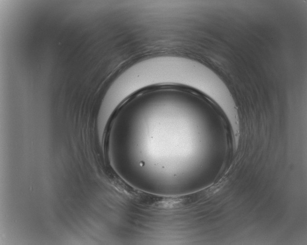 X0000060810172200511101502