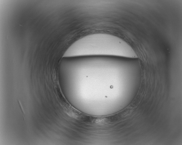 X0000060810173200511101502