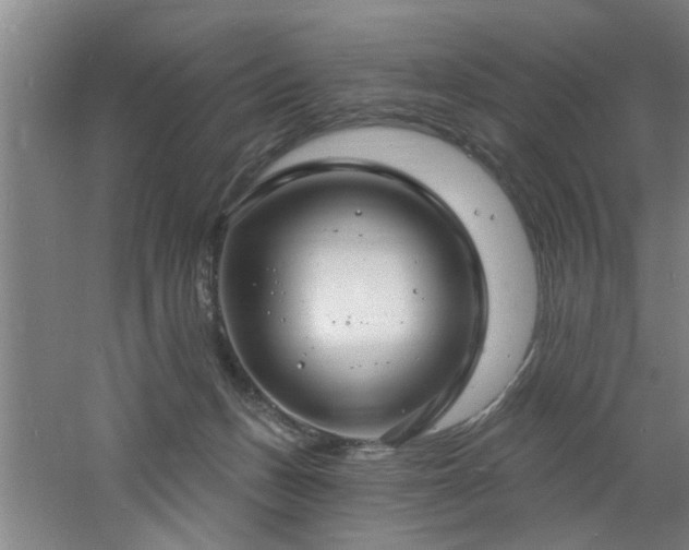 X0000060810175200511101502