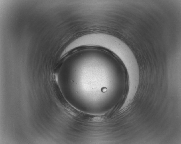 X0000060810176200511101502