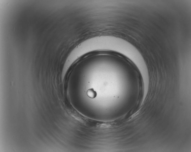 X0000060810180200511101502