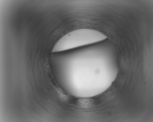 X0000060810181200511101502