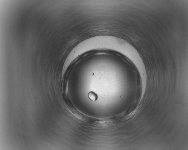 X0000060810188200511101502