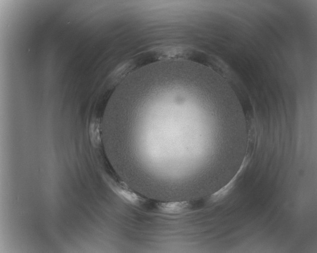 X0000060810191200511101502