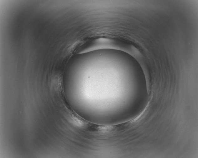 X0000060810192200511101502