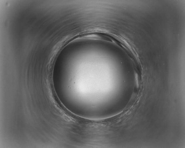 X0000060810193200511101502