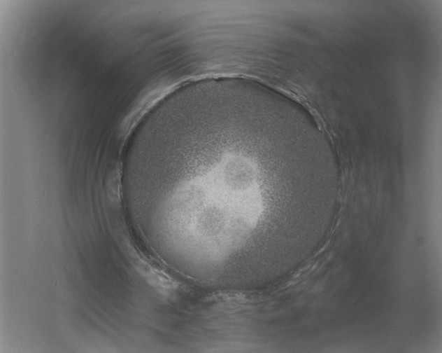 X0000060810194200511101502