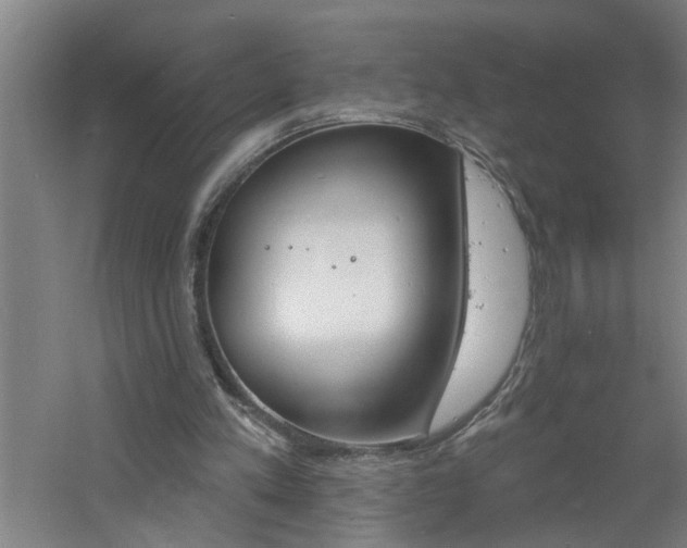 X0000060810197200511101502