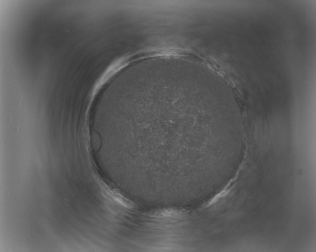 X0000060810198200511101502