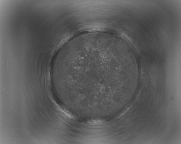 X0000060810202200511101502