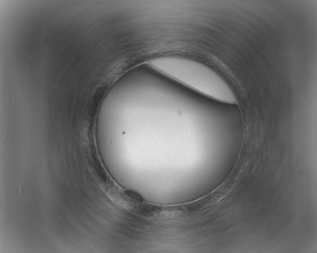 X0000060810209200511101501