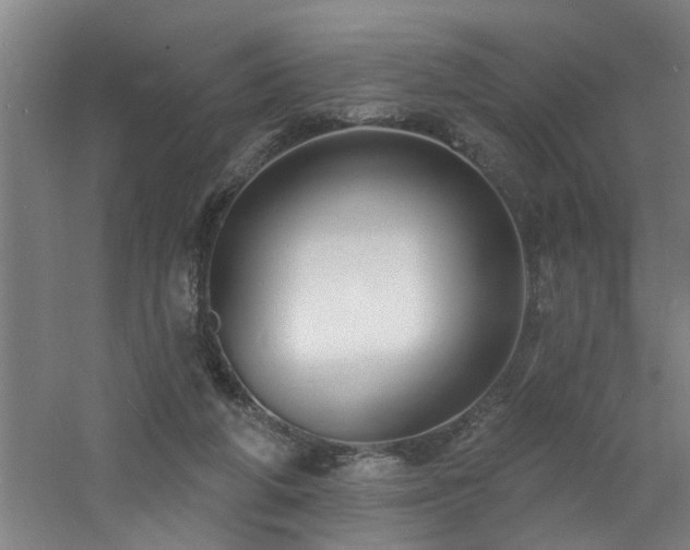 X0000060810210200511101501