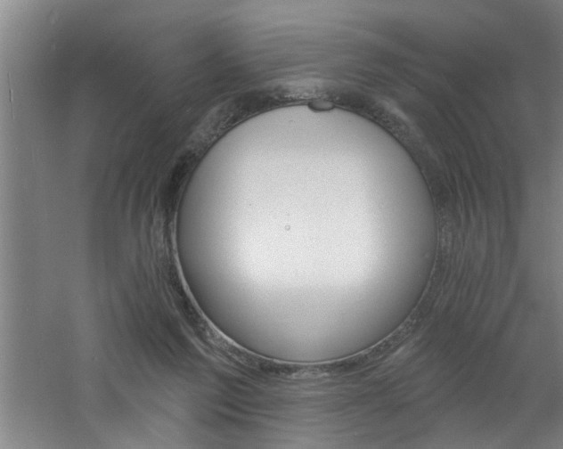 X0000060810213200511101501