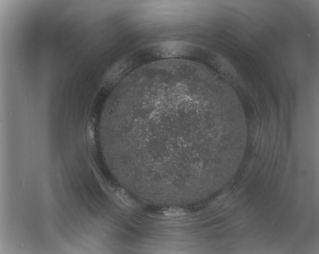 X0000060810214200511101501