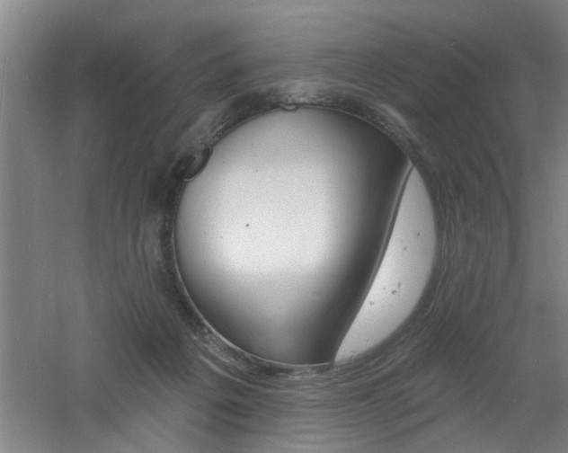 X0000060810217200511101501