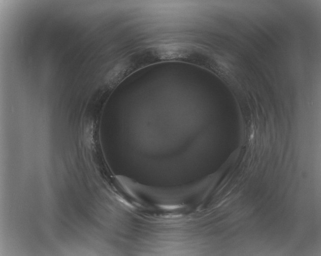 X0000060810219200511101501