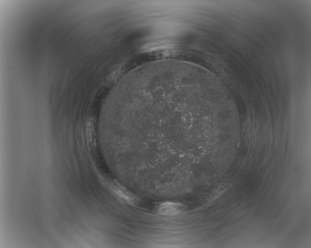 X0000060810222200511101501