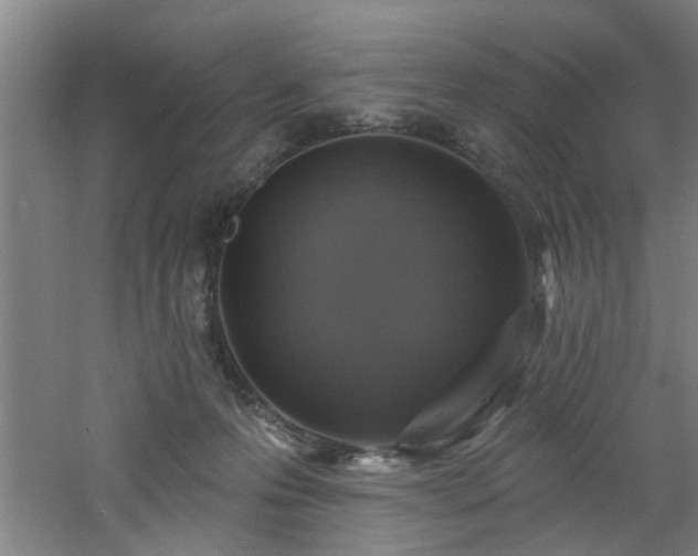 X0000060810223200511101501