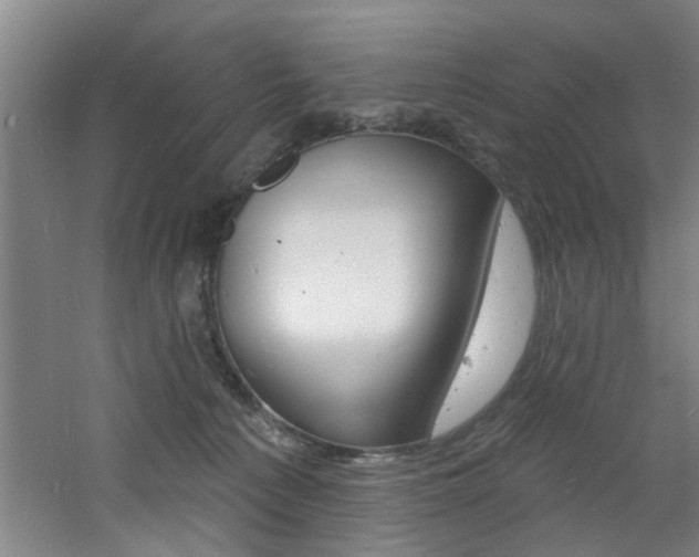 X0000060810225200511101501