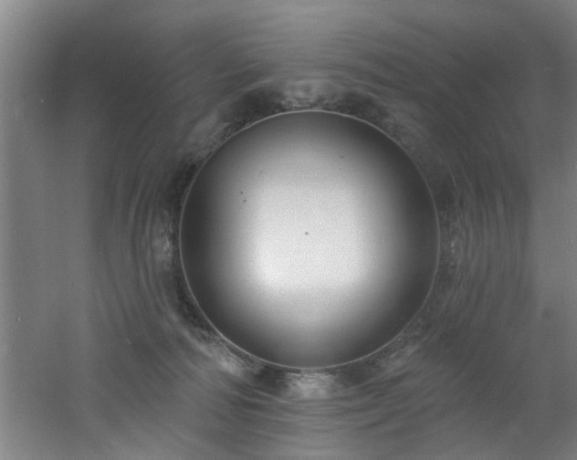 X0000060810226200511101501