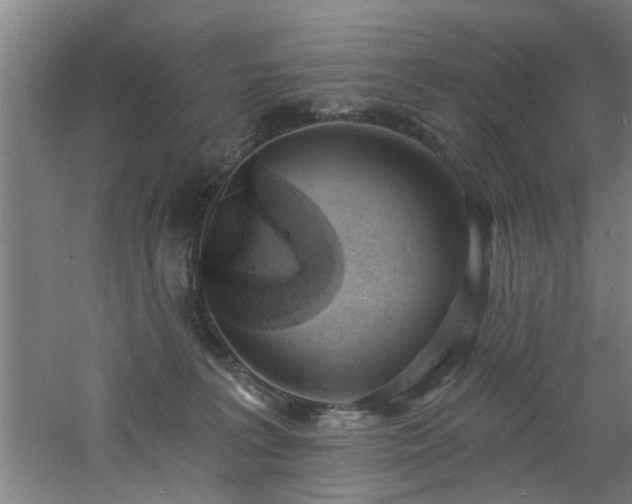 X0000060810227200511101501