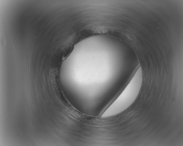 X0000060810229200511101501