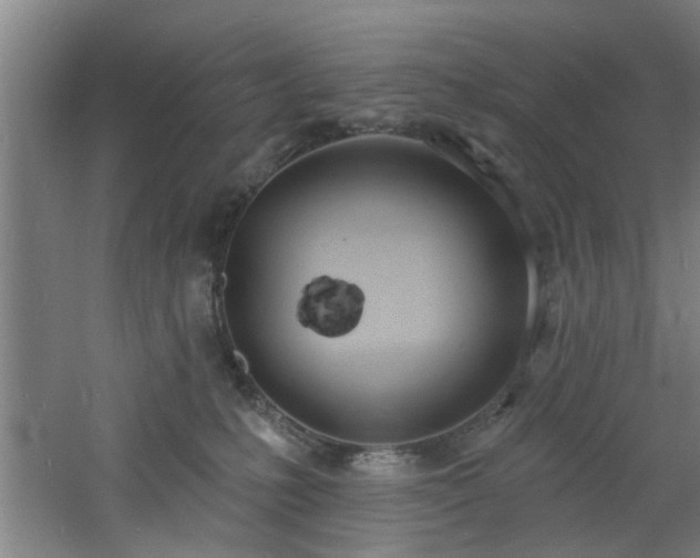 X0000060810231200511101501