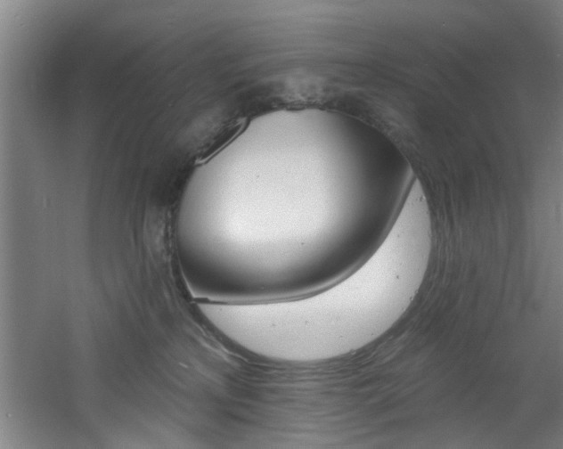 X0000060810233200511101501