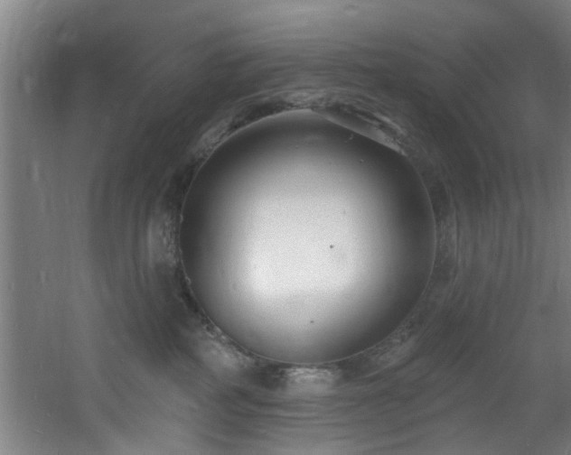 X0000060810234200511101501