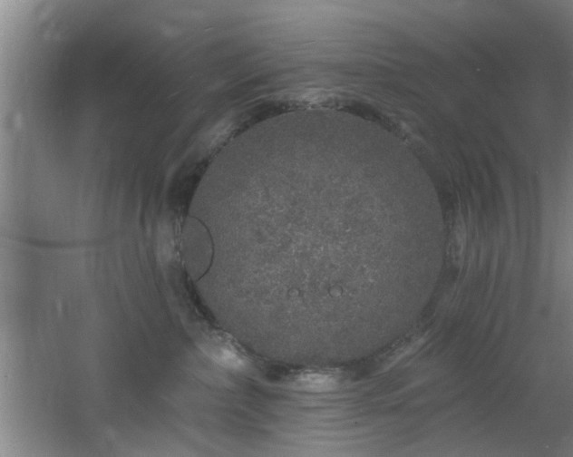 X0000060810236200511101501