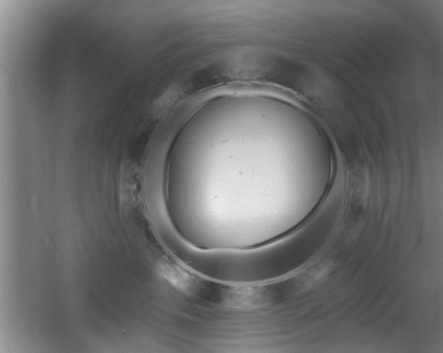 X0000060810237200511101501