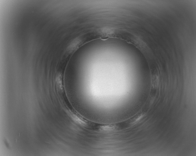 X0000060810238200511101501