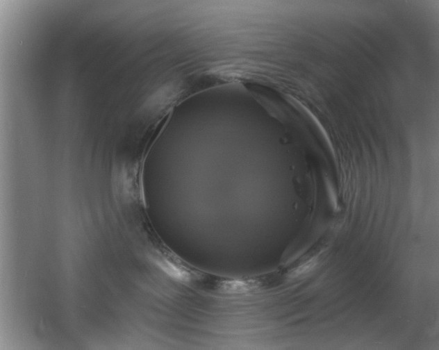 X0000060810239200511101501