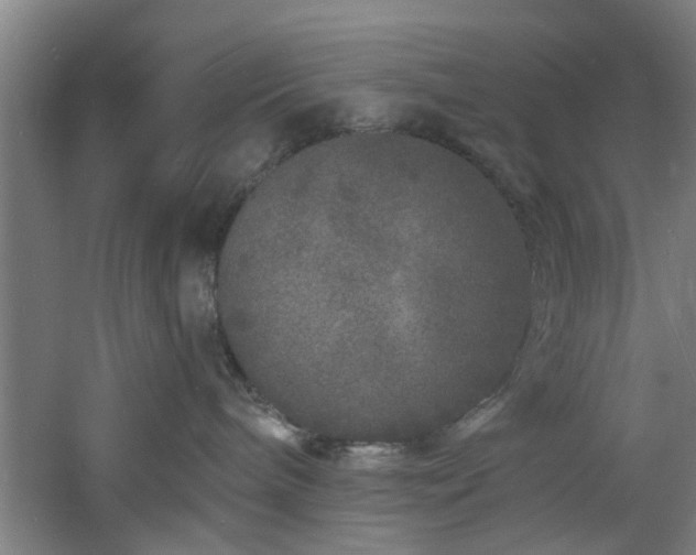 X0000060810240200511101501