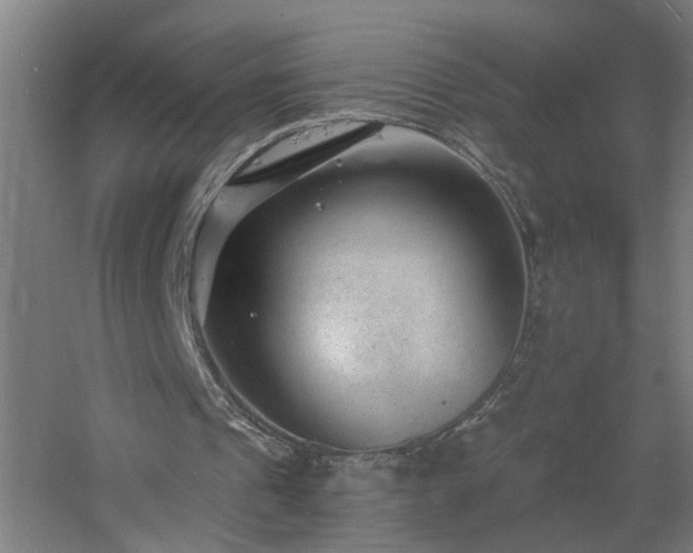 X0000060810241200511101500