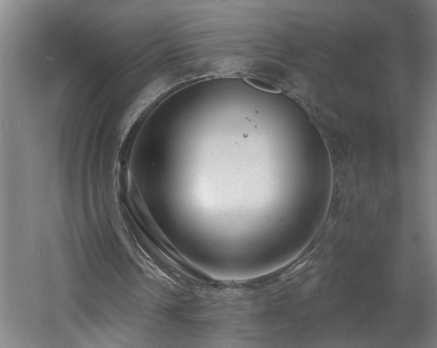 X0000060810242200511101500