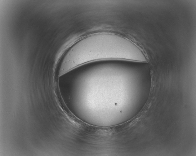 X0000060810245200511101500