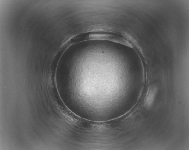 X0000060810249200511101500