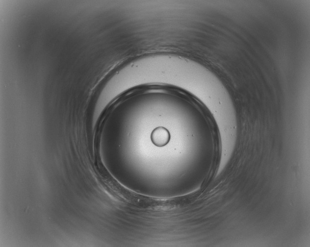 X0000060810251200511101500