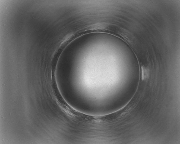 X0000060810253200511101500