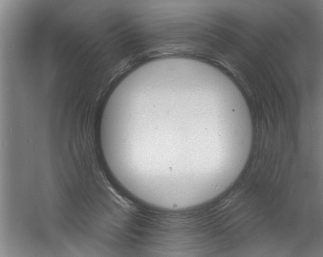 X0000060810261200511101500